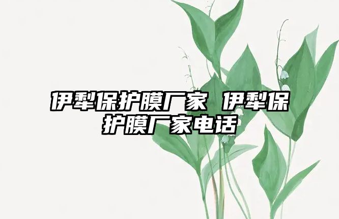 伊犁保護膜廠家 伊犁保護膜廠家電話