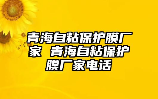 青海自粘保護膜廠家 青海自粘保護膜廠家電話