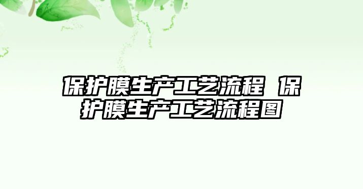 保護膜生產工藝流程 保護膜生產工藝流程圖