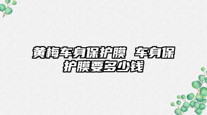 黃梅車身保護膜 車身保護膜要多少錢