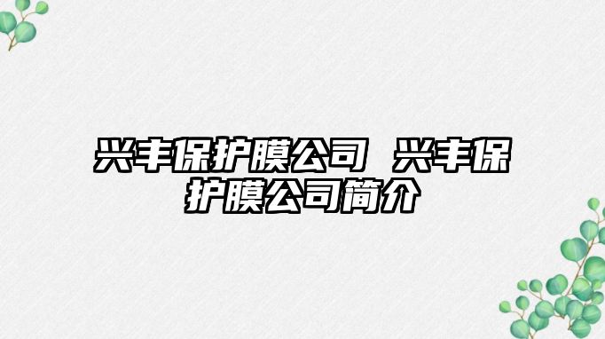 興豐保護膜公司 興豐保護膜公司簡介