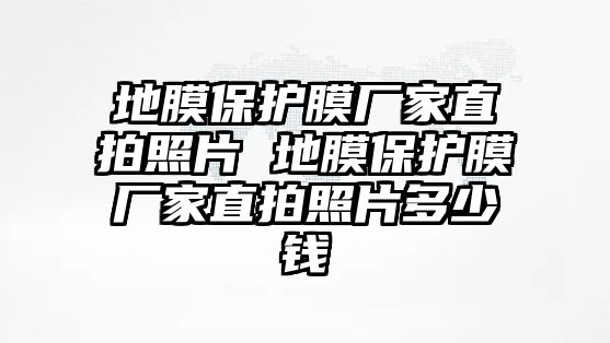 地膜保護膜廠家直拍照片 地膜保護膜廠家直拍照片多少錢