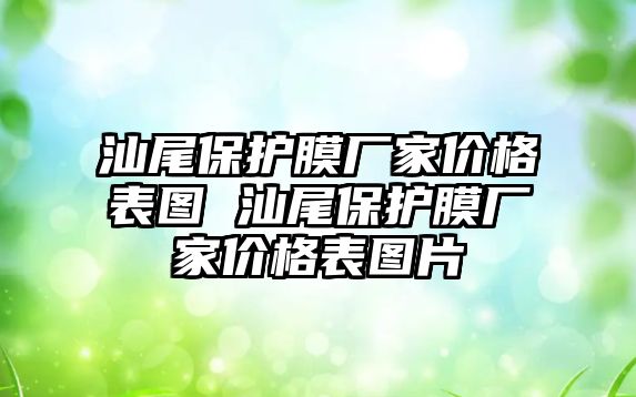 汕尾保護膜廠家價格表圖 汕尾保護膜廠家價格表圖片