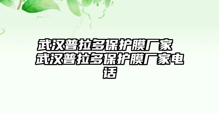 武漢普拉多保護膜廠家 武漢普拉多保護膜廠家電話