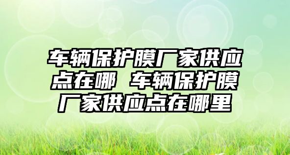 車輛保護膜廠家供應點在哪 車輛保護膜廠家供應點在哪里