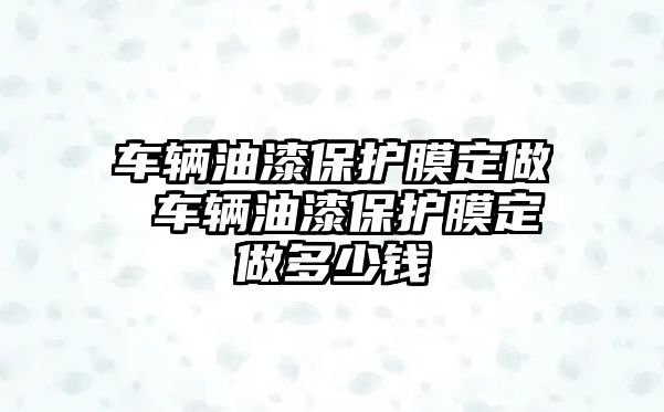 車輛油漆保護膜定做 車輛油漆保護膜定做多少錢