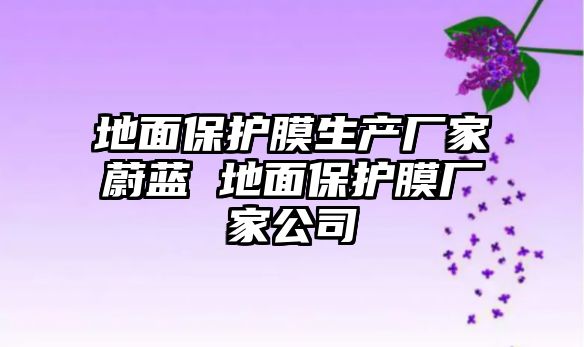 地面保護膜生產廠家蔚藍 地面保護膜廠家公司