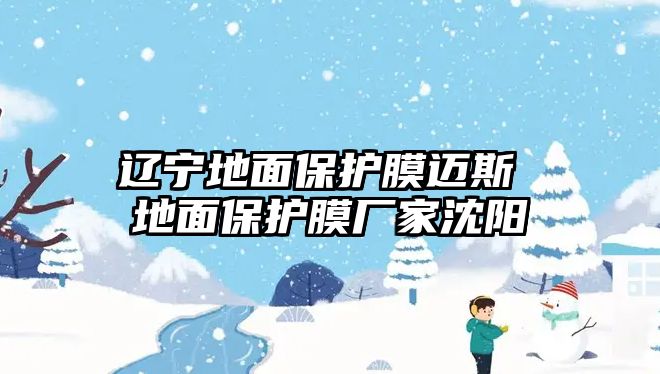 遼寧地面保護膜邁斯 地面保護膜廠家沈陽