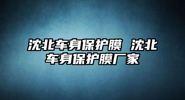 沈北車身保護膜 沈北車身保護膜廠家