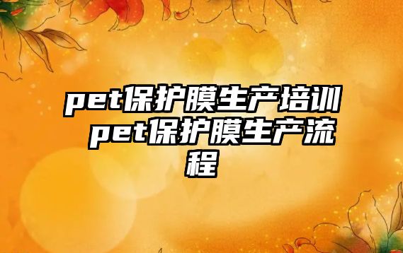 pet保護膜生產培訓 pet保護膜生產流程