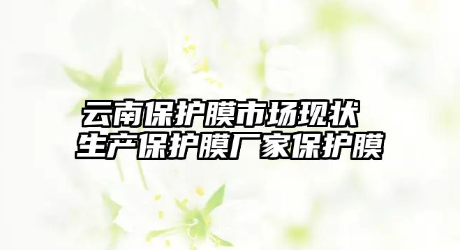 云南保護膜市場現狀 生產保護膜廠家保護膜