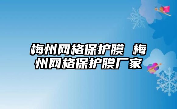 梅州網格保護膜 梅州網格保護膜廠家