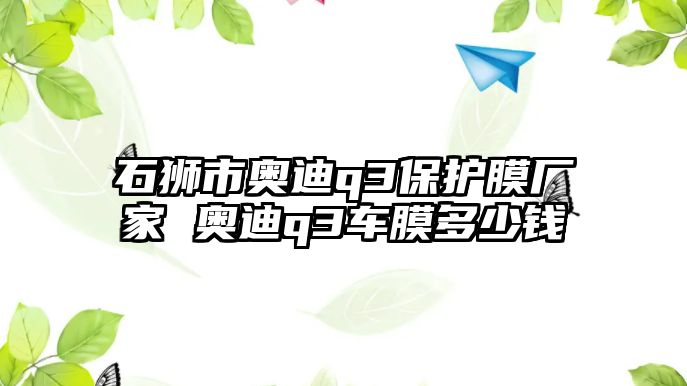 石獅市奧迪q3保護膜廠家 奧迪q3車膜多少錢