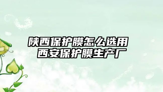 陜西保護膜怎么選用 西安保護膜生產廠