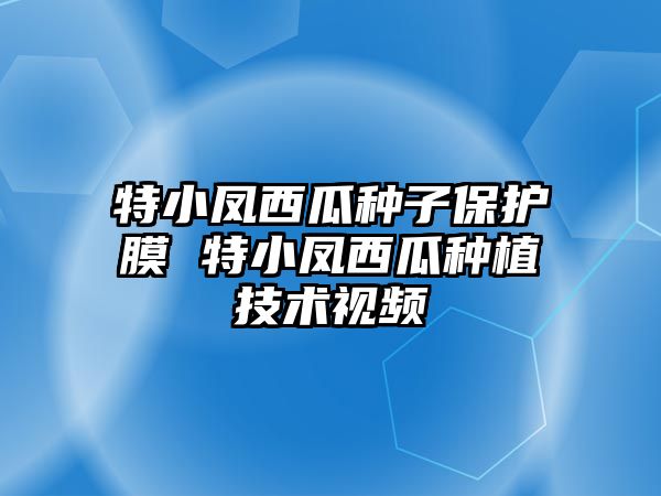 特小鳳西瓜種子保護膜 特小鳳西瓜種植技術視頻