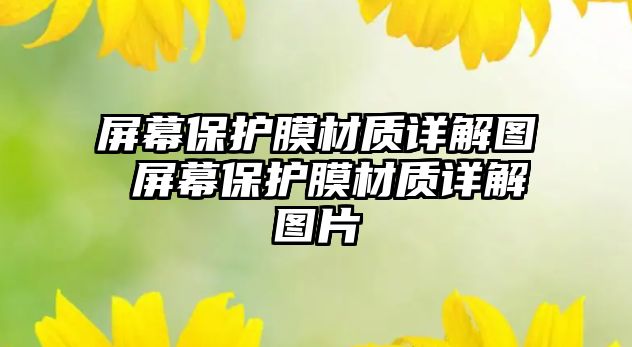 屏幕保護膜材質詳解圖 屏幕保護膜材質詳解圖片