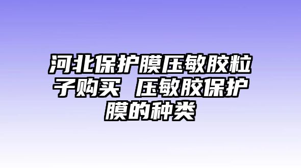 河北保護膜壓敏膠粒子購買 壓敏膠保護膜的種類