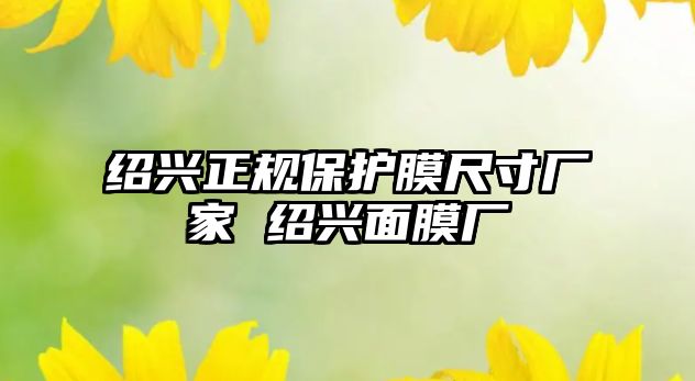 紹興正規保護膜尺寸廠家 紹興面膜廠