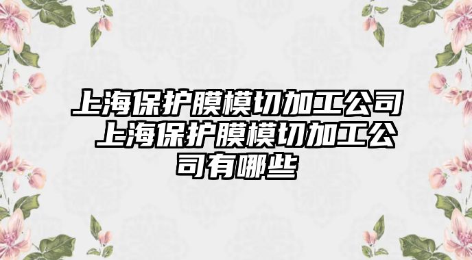 上海保護膜模切加工公司 上海保護膜模切加工公司有哪些