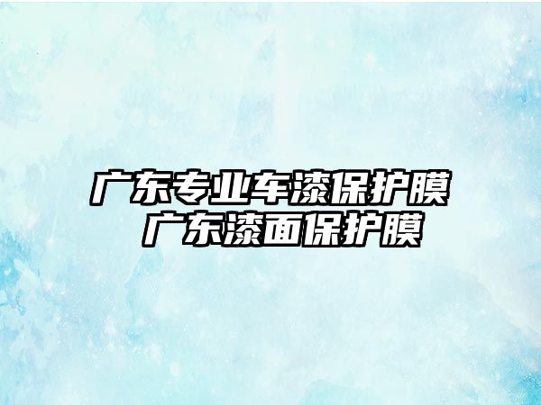 廣東專業車漆保護膜 廣東漆面保護膜