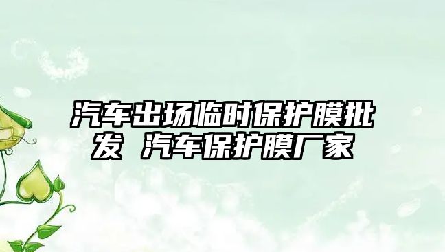 汽車出場臨時保護膜批發 汽車保護膜廠家