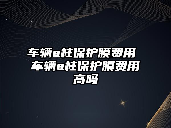 車輛a柱保護膜費用 車輛a柱保護膜費用高嗎