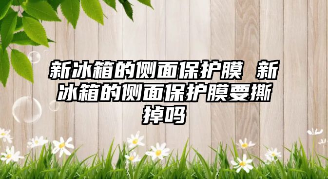 新冰箱的側面保護膜 新冰箱的側面保護膜要撕掉嗎