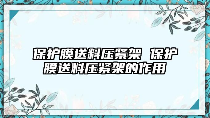 保護膜送料壓緊架 保護膜送料壓緊架的作用