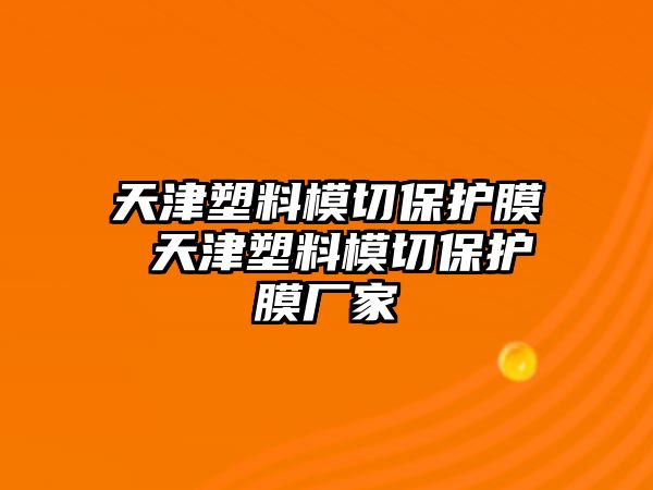 天津塑料模切保護膜 天津塑料模切保護膜廠家