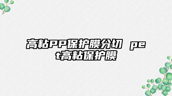 高粘PP保護膜分切 pet高粘保護膜